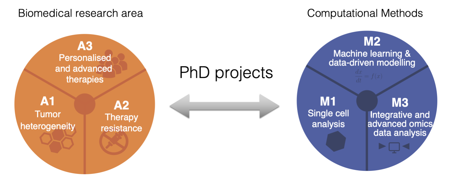 Research Areas